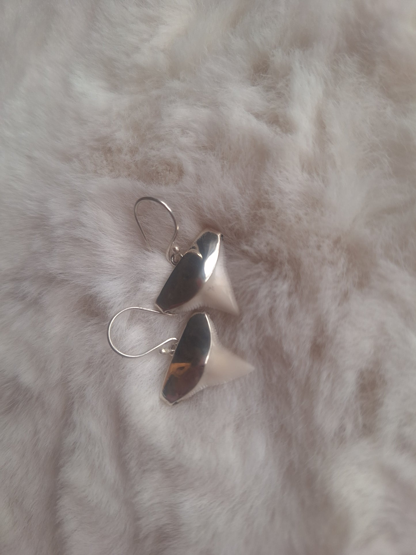 Shark Tooth Earings