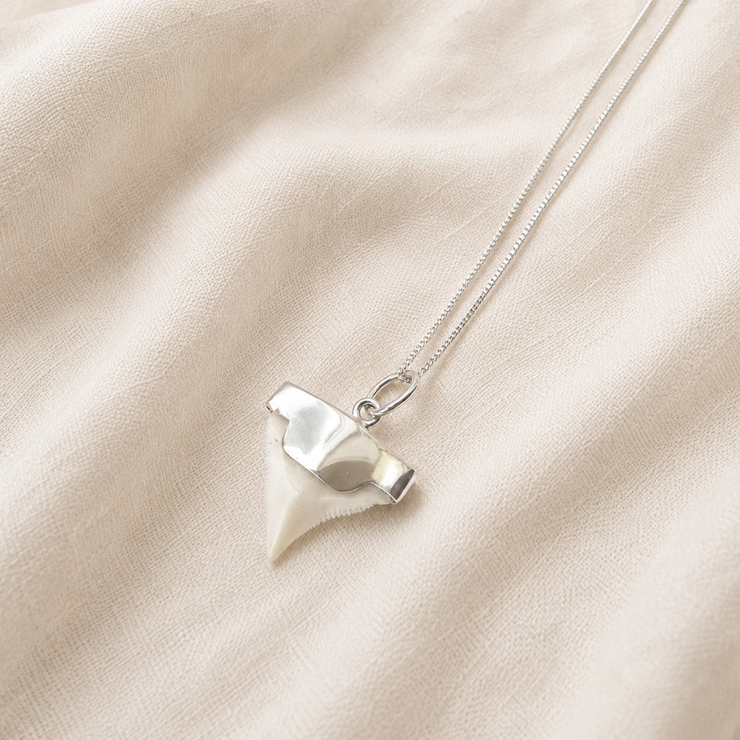 Ocean Explorer Shark Tooth Necklace | Sterling Silver 925