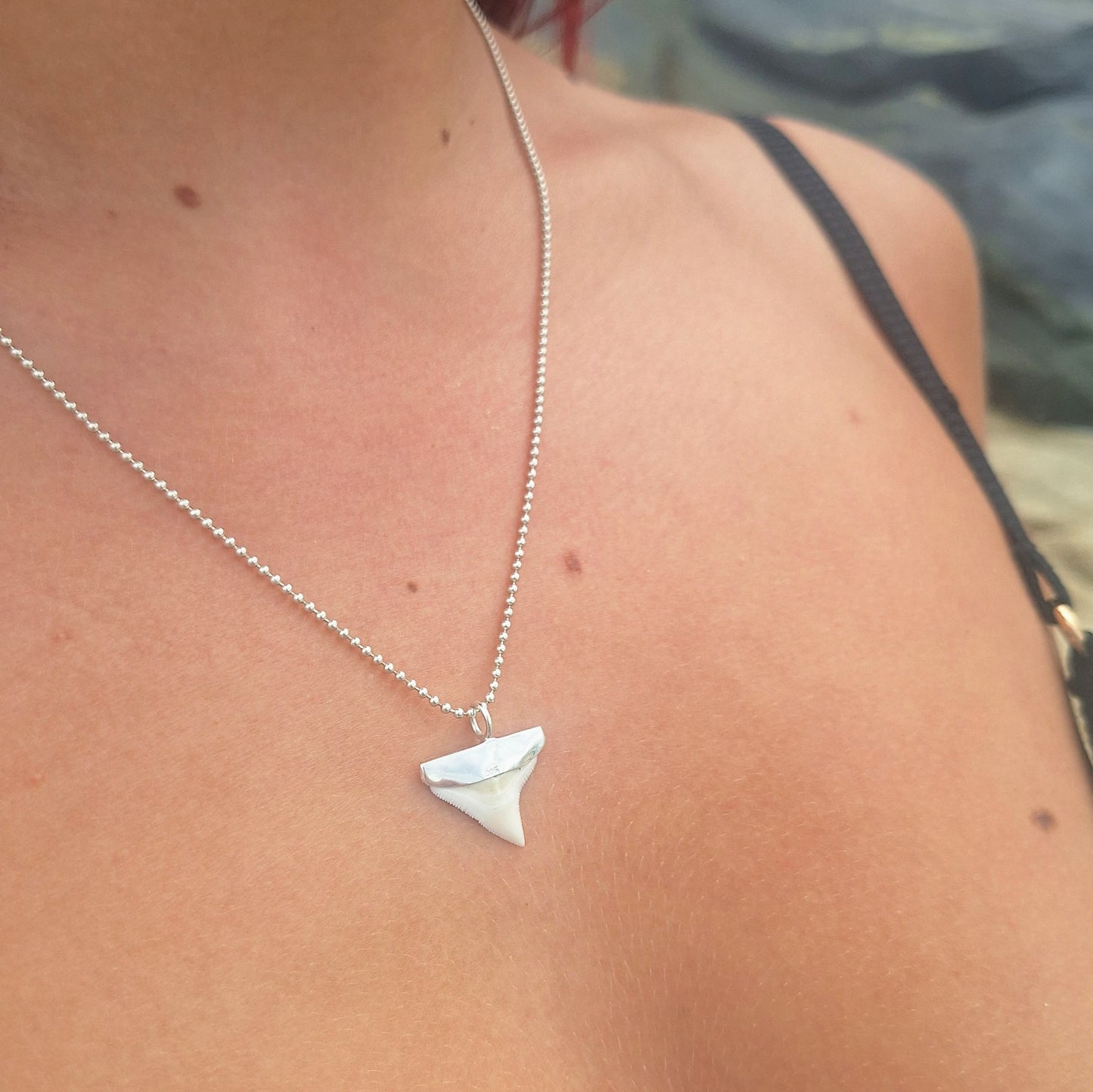 Shark Tooth Necklace