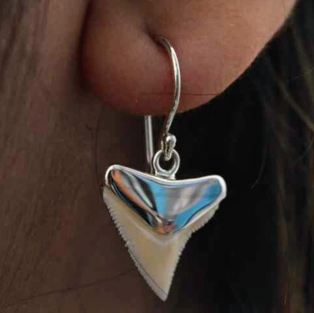 Shark Tooth Earings
