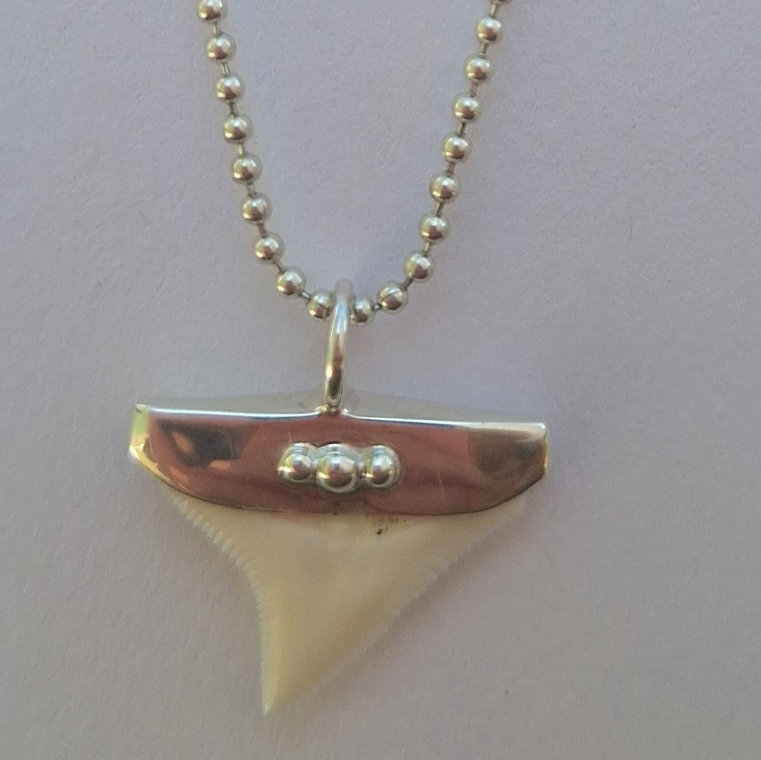Shark Tooth Necklace