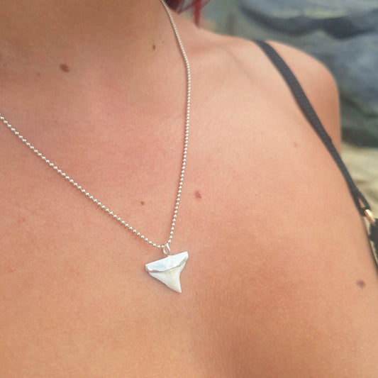 Shark Tooth Necklace